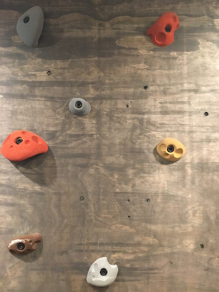 Climbing Wall Georgeson Style